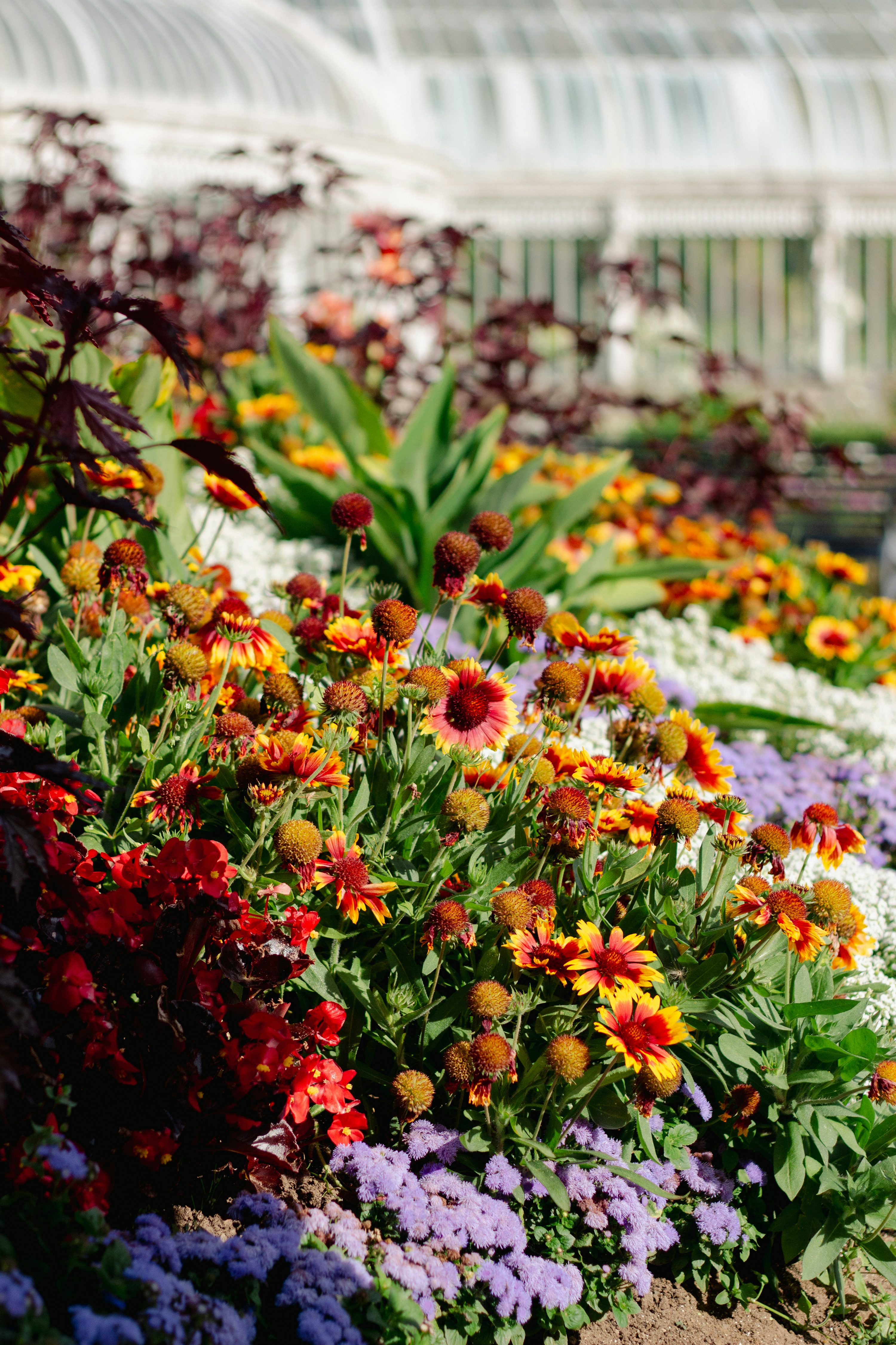 Grounds gallery 2